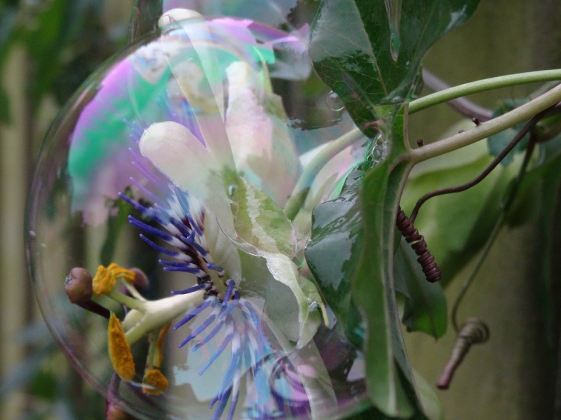 AnnekevandeBeek_foto2