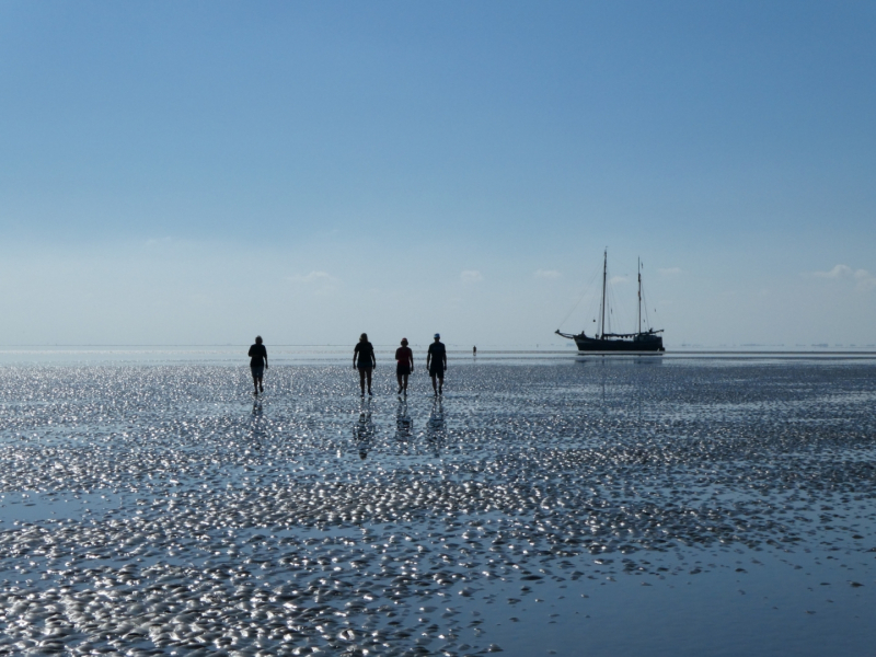 Droogvallen-Wad