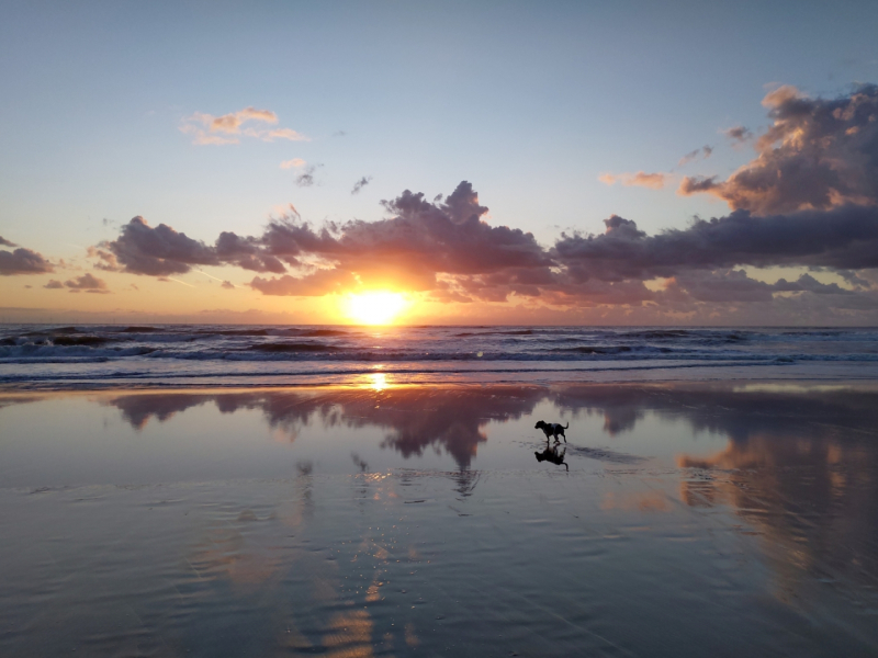 Egmond-aan-zee-foto-klein