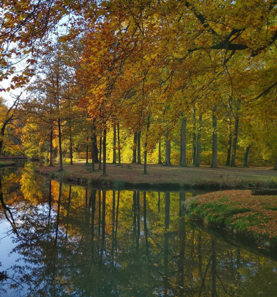 Herfst-Groeneveld