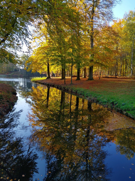 Herfst-kasteel-Groeneveld