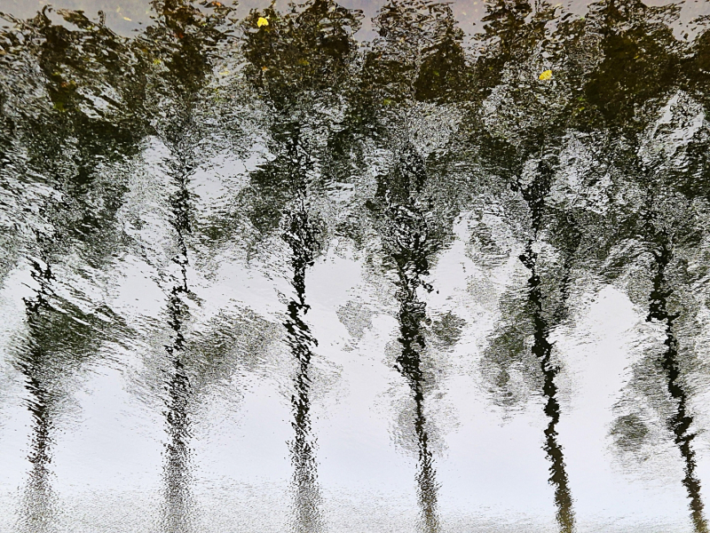 Reflexie