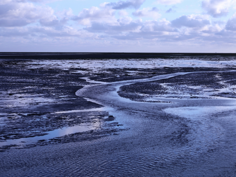 WADDEN-grafisch-klein