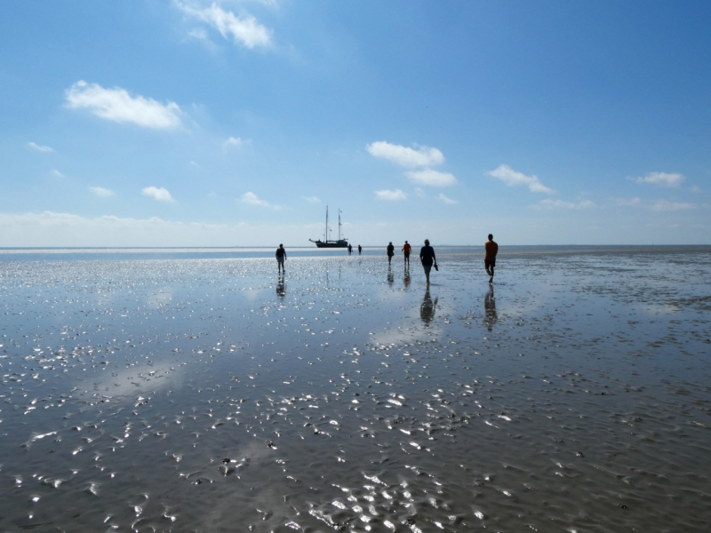 Wadden