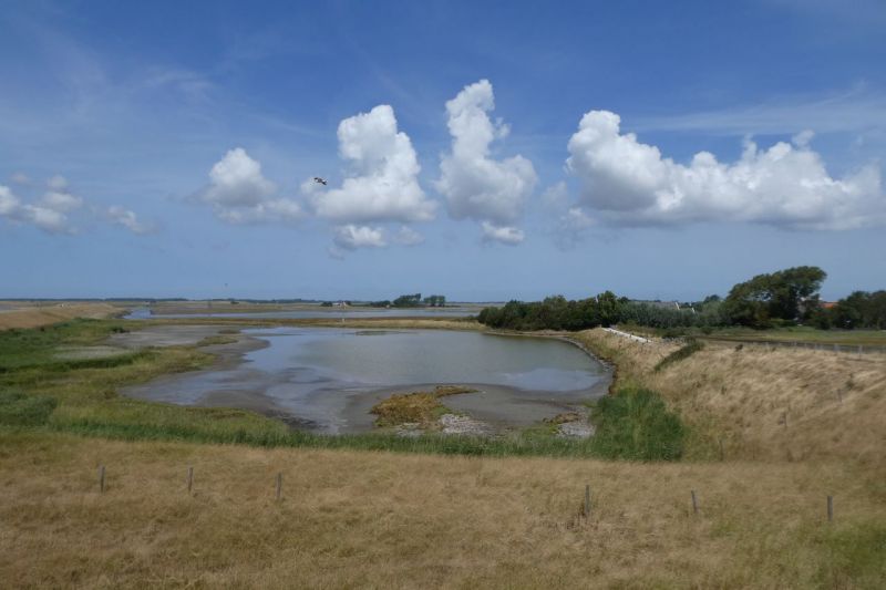 Zeeland-2