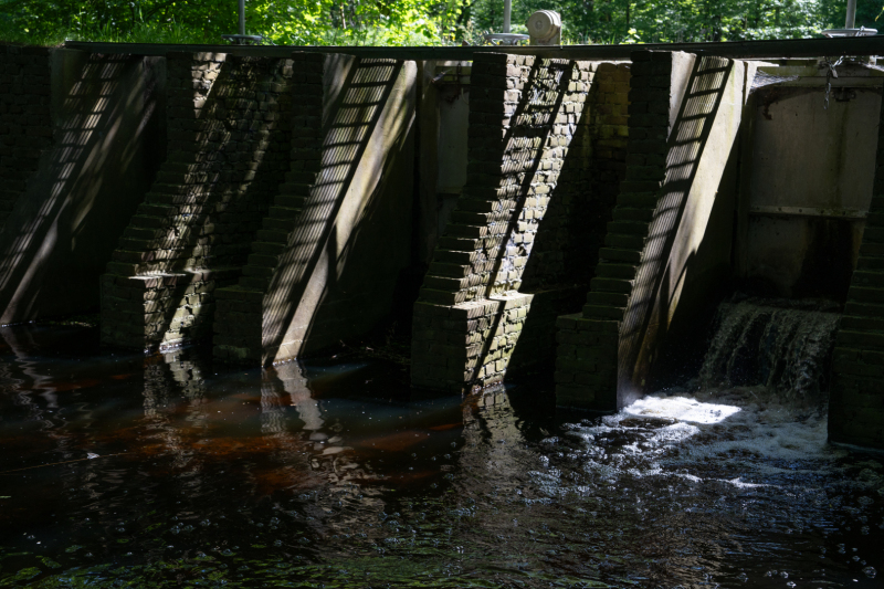 Waterloopbos