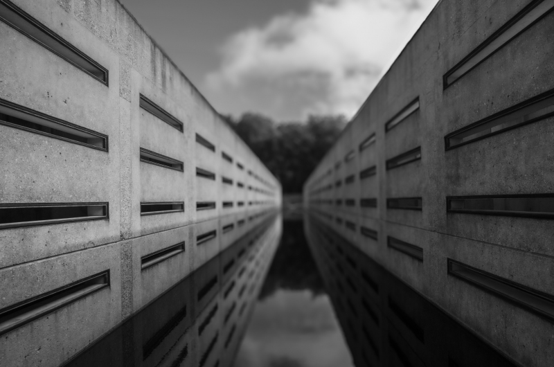 Waterloopbos
