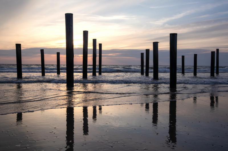 Palendorp Petten