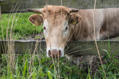betty-moolhuijsen-5-9b891cdd0781dc9f1aa8cf1de35b44ff5959a967