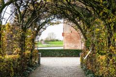 Herbert_1012473