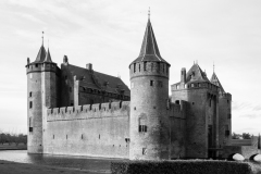 Herbert_1012534