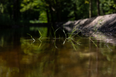 Barry-Waterloopbos-16-comp