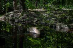 Barry-Waterloopbos-17-comp