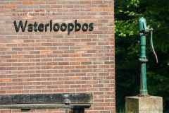 Barry-Waterloopbos-18-comp