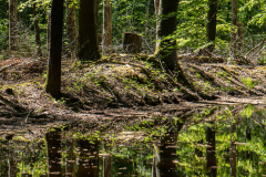 BenWaterbos-7-comp