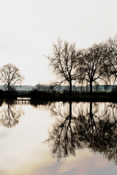 De Meent