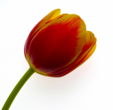 02