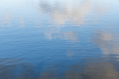 Blue-in-the-sky