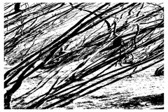 Dick Sleiffer - Abstract