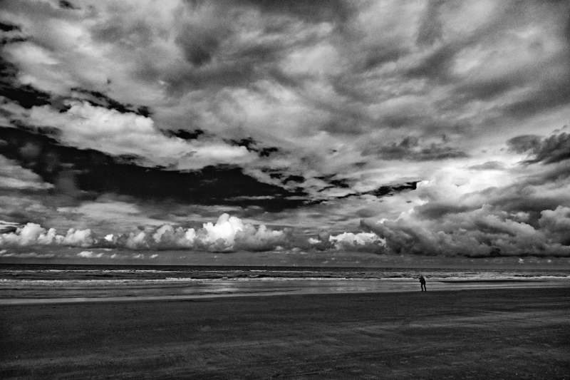 P1340553-AA-zww